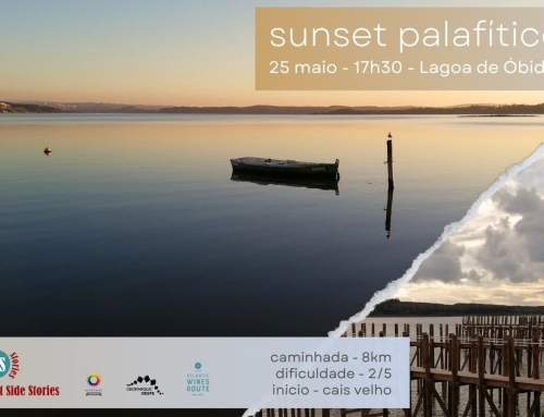 SUNSET PALAFÍTICO